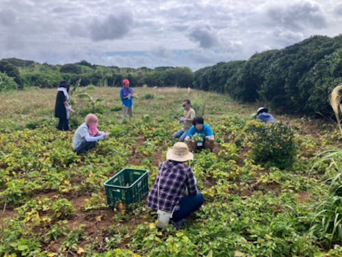 【課題解決②】畑整備