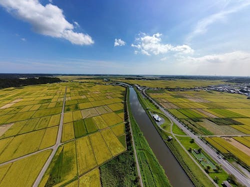 田園と栗山川に囲まれた自然豊かな風景が多古町の魅力です。