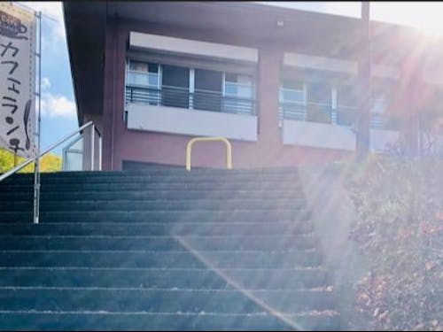 日差しと木々と小鳥のさえずり満喫!