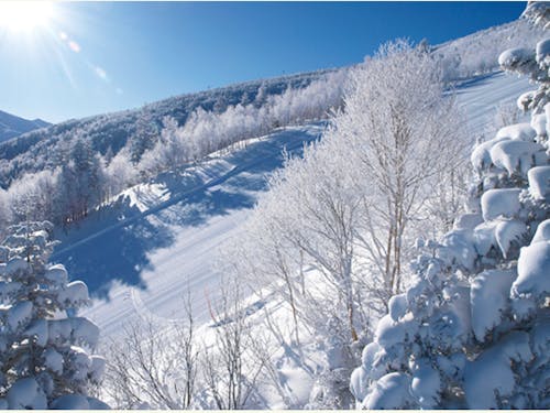 ホテルの目の前は無料リフト券貸与(冬季のみ)がある奥志賀高原スキー場