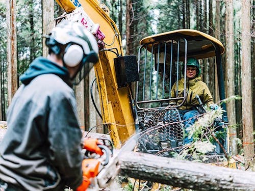林業の現場ではチェーンソーを使用しての間伐〜重機操作も