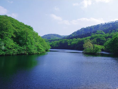 二ツ石ダムの夏の風景