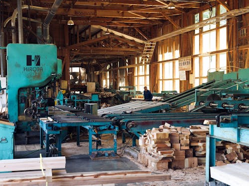 大規模林業をメインに従事していただきます