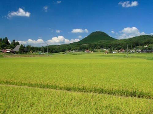 農業が身近にあるまちです。