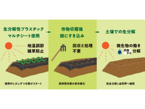 生分解性シートが土に還るプロセス