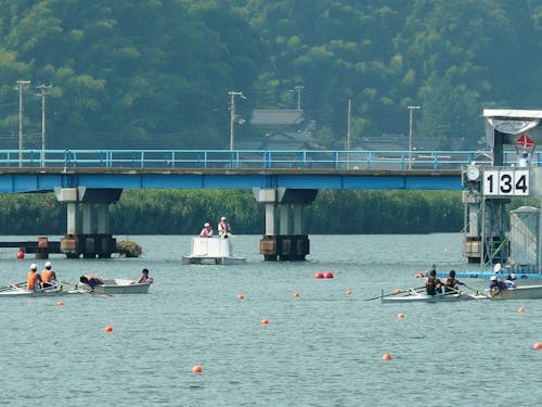 円山川で行われたローイング大会のようす