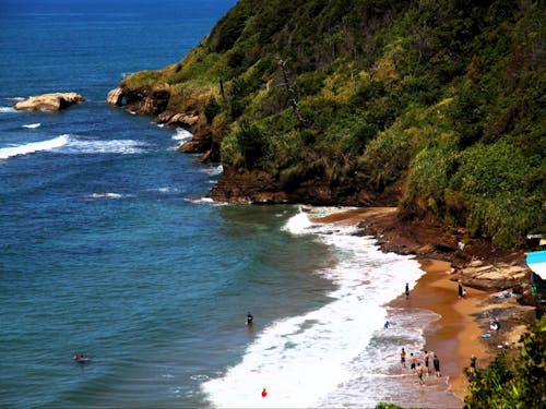 食生活の質を底上げするカニやブリ、カキ、サザエ、メギス、ハタハタといった海鮮。