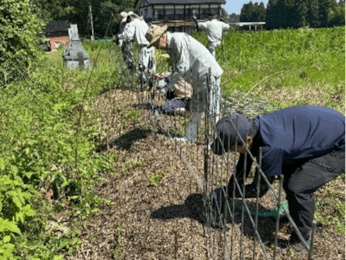 鳥獣防止対策用電気柵の設置作業
