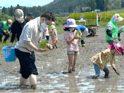 子供達も大人もみんなで田植え作業