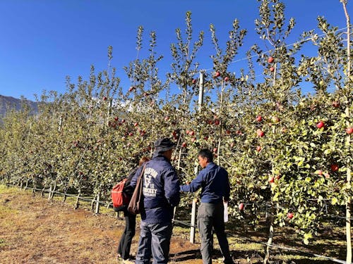 ふるさとワーキングホリデーをコーディネート