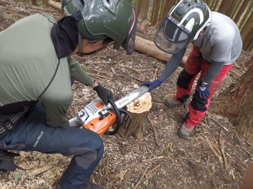 森を整える竹伐り・間伐体験