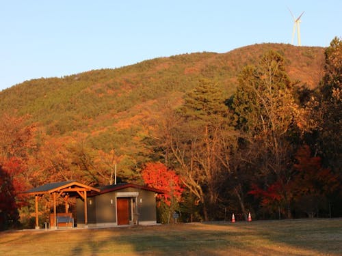 自然に囲まれたキャンプ場