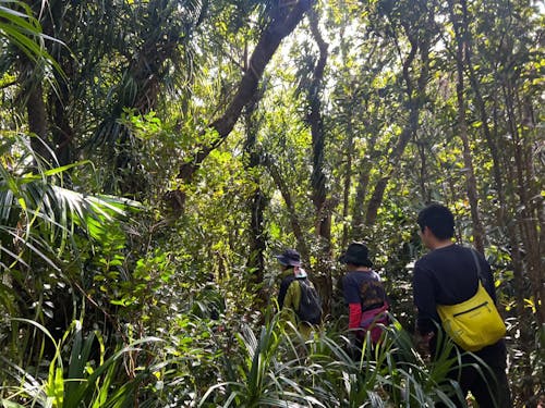 休みの日は、トレッキングも楽しめます。海も森も、大自然があるのがこの島の魅力。