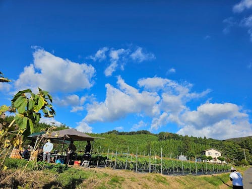 田村市のお気に入りの風景(ピーマン農家さんにて)