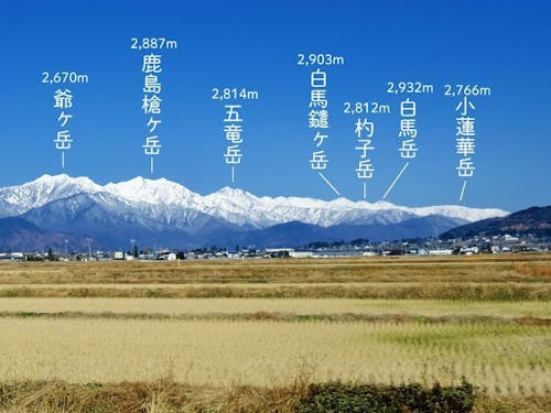 田畑の広がるエリアから白馬三山も望めます