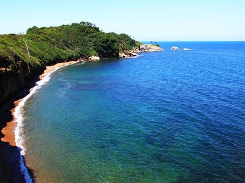 食生活の質を底上げするカニやブリ、カキ、サザエ、メギス、ハタハタといった海鮮。