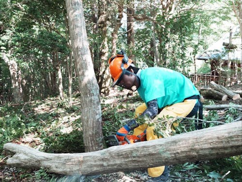 先輩隊員はチェーンソー扱いもお手の物
