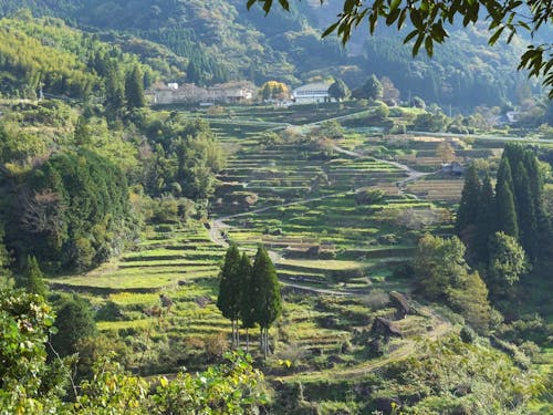 四季で風景が移ろう、日本の棚田百選「松谷棚田」