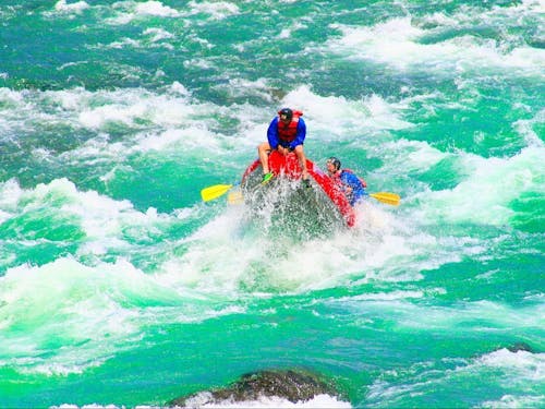 現地視察では、人・自然・食・文化をはじめ村の資源をたっぷりご紹介