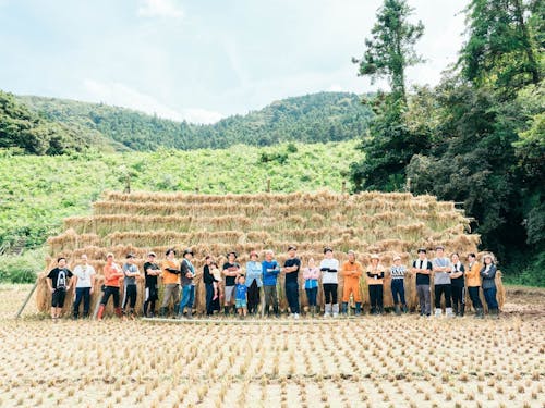 海士町オフィシャルアンバサダーの様子(稲刈り)
