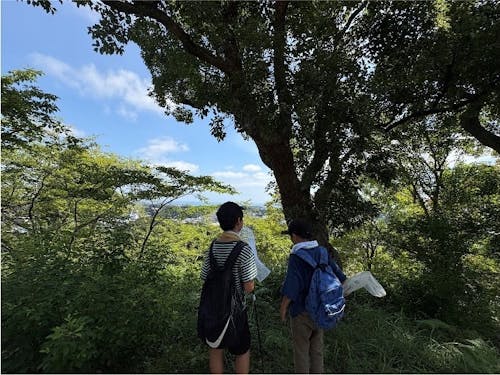 夏は近所の衣笠山へカブトムシを採りに。奥には海も見えます。