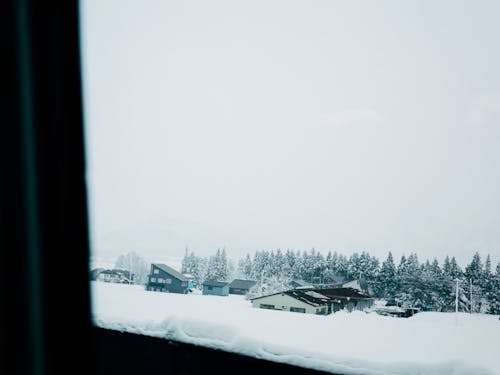 新潟の越後山脈を長いトンネルで抜けるとそこには白銀の世界が広がります。