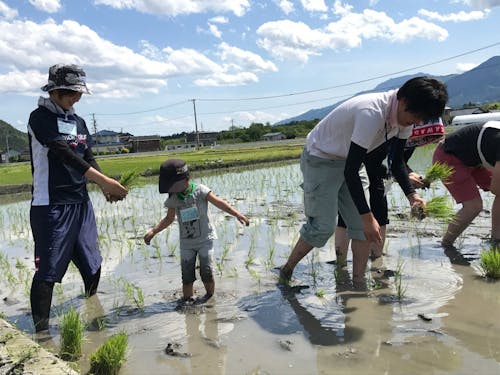 季節とともにある暮らしを楽しんでください
