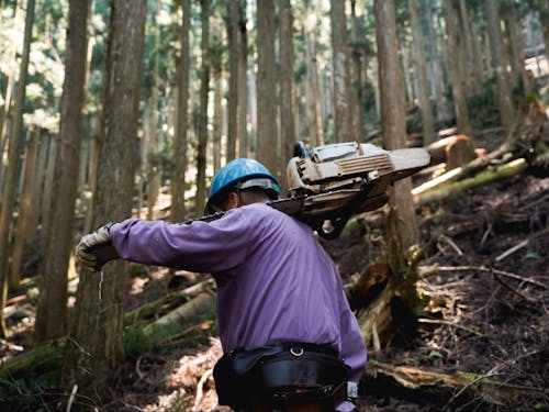 OJTでは、村内で林業を営まれている方々のもとで、様々な作業をしますよ。