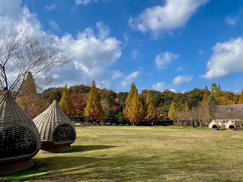 開放的なくつろぎの場