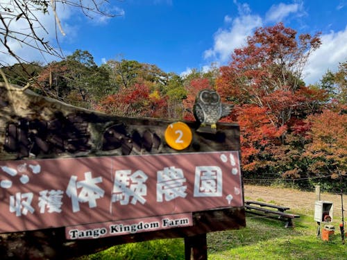 触れ合える動物たち