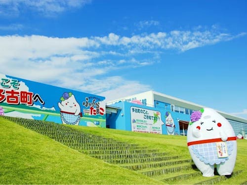 多くの方が訪れる道の駅多古「あじさい館」とふっくらたまこさんです!