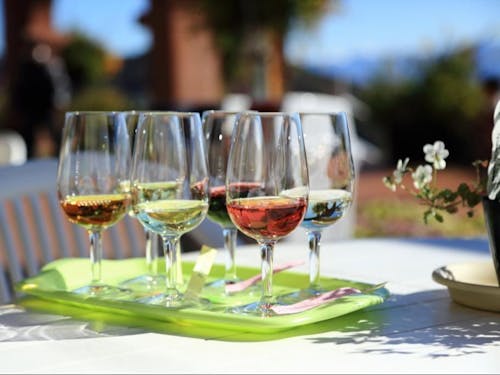 豊富な食資源の可能性をどこまでも追求し発信する