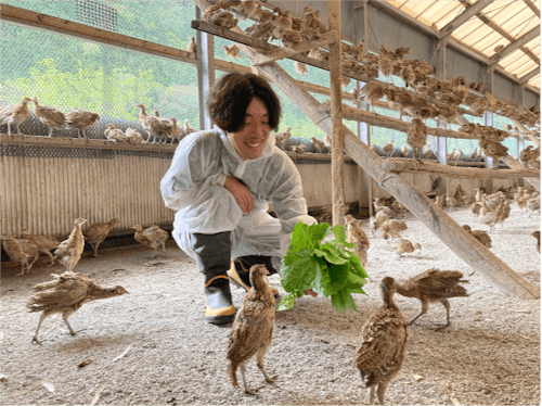 本川手箱きじ生産企業組合での活動