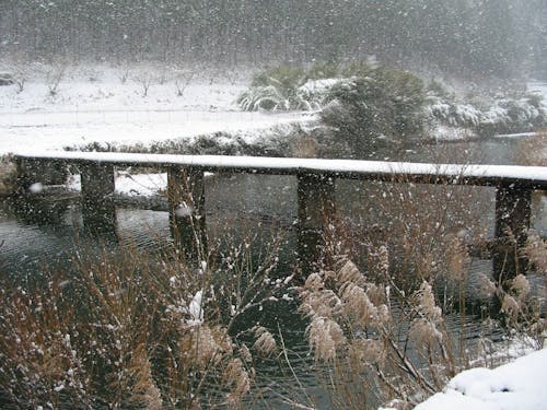 冬の大野見地区。寒さが厳しい時期では雪が積もります。