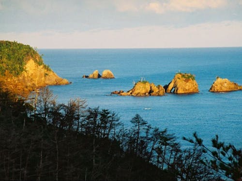 田万川(八幡)地域は山も海も近い場所◎
