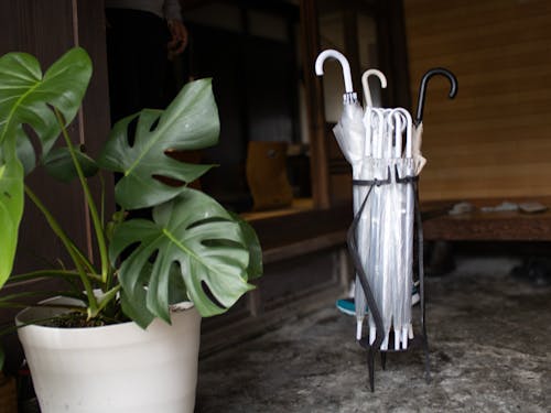 傘立てはエドワードさんの手作り！職人技が光ります。