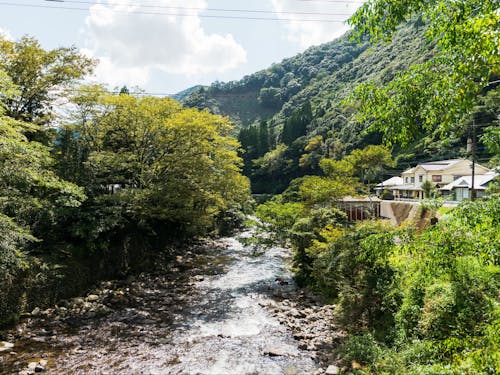 車を20~30分走らせると、山にも川にも海にも。