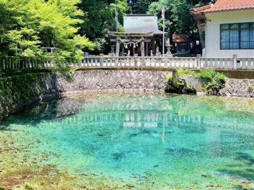 エメラルドグリーンが美しい別府弁天池