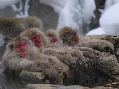 温泉が大好きな方にもおすすめ。