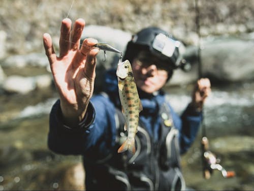 渓流釣りのメッカとして、県外からも釣り客が訪れる