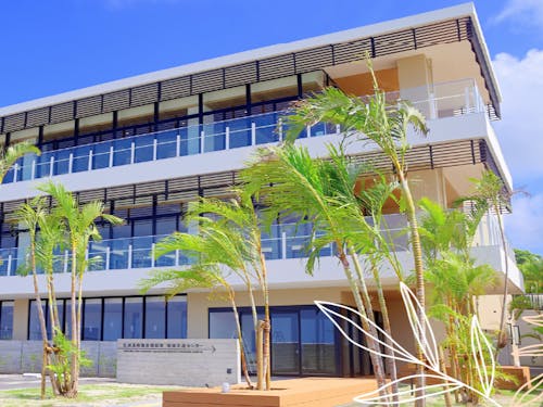 久米島町複合型 防災・地域交流センター ほんのもり(図書館・町営塾)