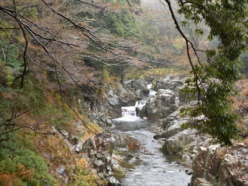 大瀧神社大蛇ヶ淵