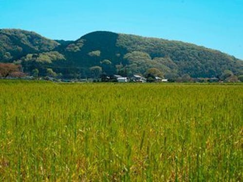 有機農業が盛んな小川町
