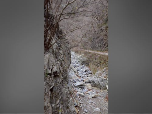 川底に水が全くない