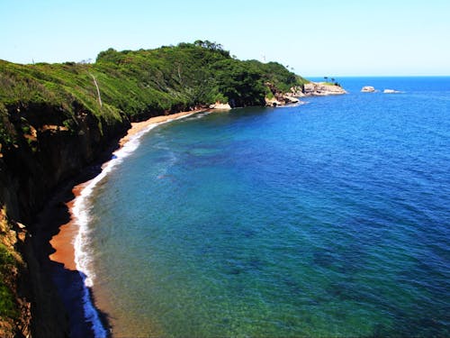 食生活の質を底上げするカニやブリ、カキ、サザエ、メギス、ハタハタといった海鮮。