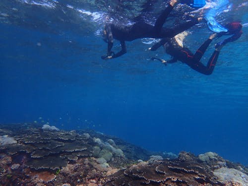 シュノーケリングやカヤックも楽しめます