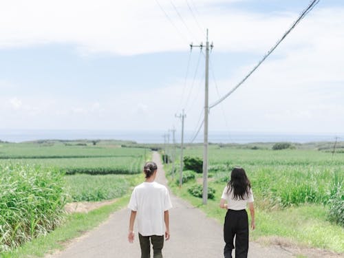 サトウキビ畑の中を散歩したり