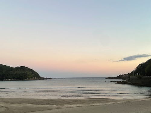 毎日この浜を愛犬と散歩
