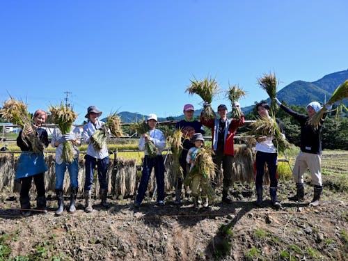 稲刈り体験といった現地ツアーにも参加!