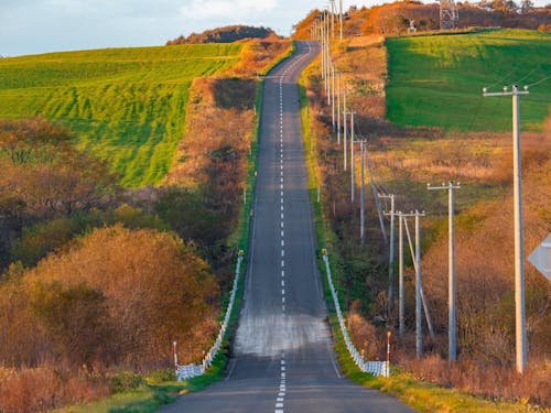 ドライブ好きにはたまらない、秋を全身で感じられる絶景ロードです。